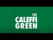 CALEFFI XF, Halbautomatischer Schmutzfänger/ Schlammabscheider auf grünem Hintergrund